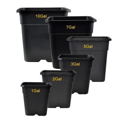 Square Gallon Plant Pot