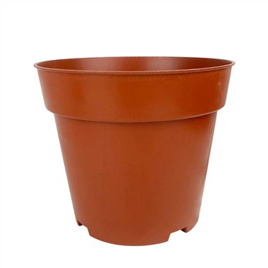 Succulent Plant Seedling Planter